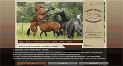 Desktop Screenshot of kektoimenes.hu